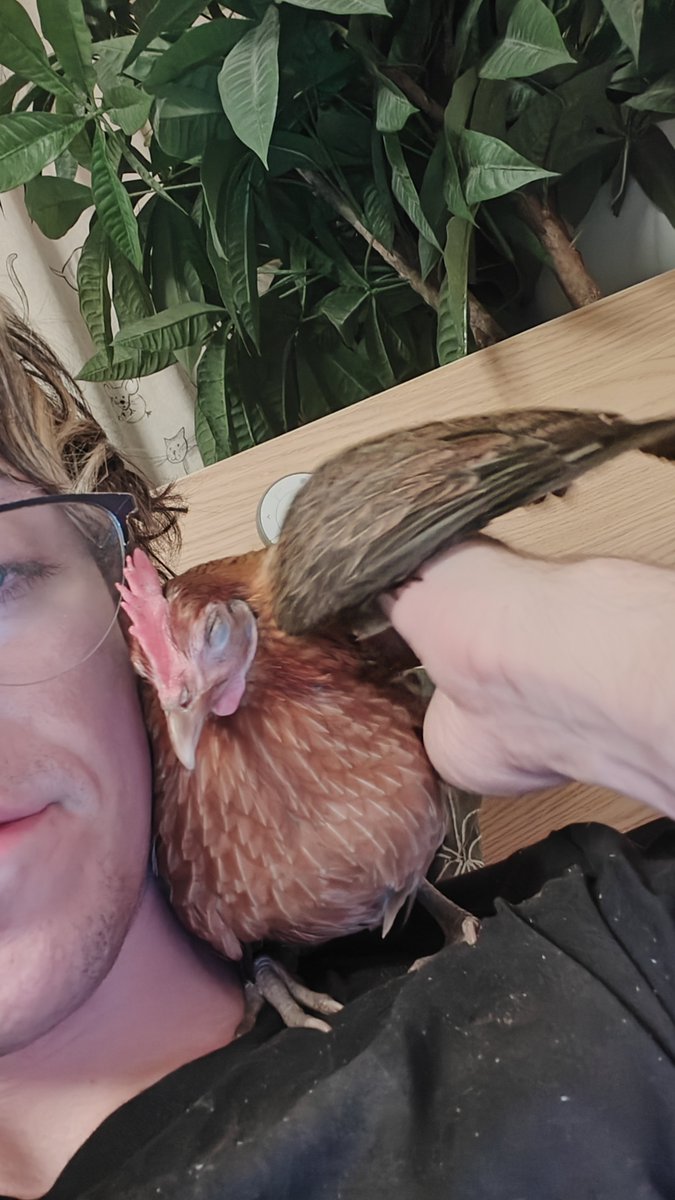 stormscosplays tweet picture