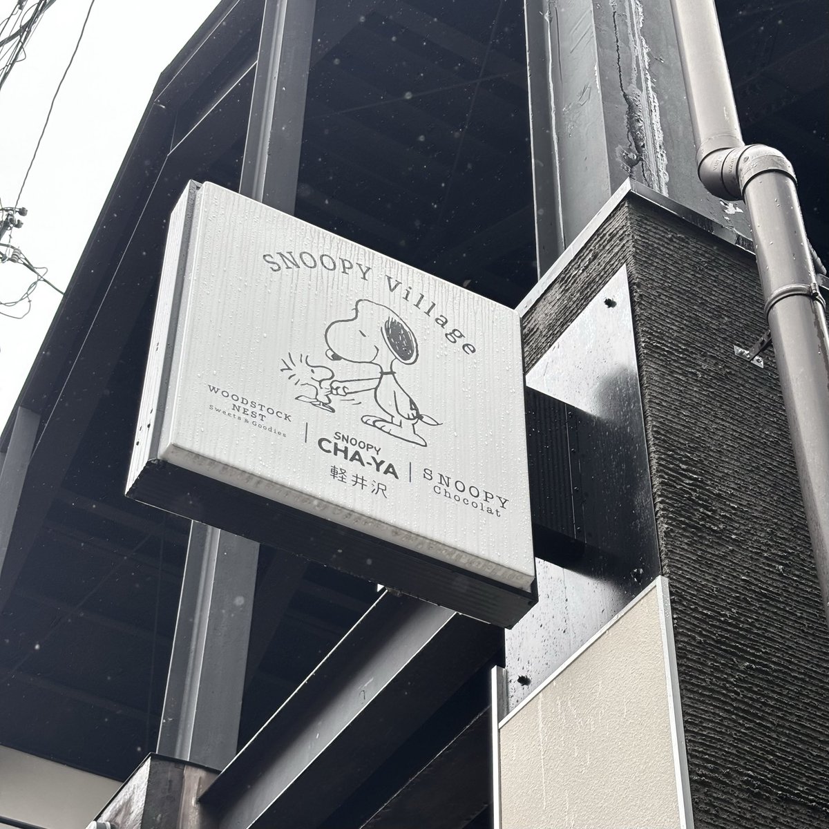 Appleskitty_g's tweet photo. 行ったら好きになってしまった…🥜

#SNOOPY VILLAGE https://t.co/0uUszbWEOc