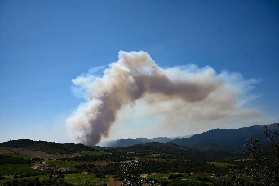AlainGoudey's tweet photo. 🔴 URGENT, les Pyrénées-Orientales, ça empire ! 

➡️ L’incendie autour d’Ille-sur-Têt échappe à tout contrôle. Il vient de pénétrer le massif des Aspres et a déjà ravagé plus de 2 000 hectares : c’est le plus gros feu de l’année en France‼️

Ce qu’il faut savoir 👇

🏘️ Ille-sur-Têt (5 500 hab.) entièrement évacuée
🚨 +10 000 personnes évacuées dans une vingtaine de communes
👨‍🚒 Le préfet appelle les entreprises à libérer leurs pompiers volontaires
🩹 1 pompier et 1 habitant blessés, en urgence absolue
🚴 Le Tour de France adapte son étape de lundi, qui se courra « sans public »

La nuit va être très longue … courage à tous mes amis dans la zone ! 

#incendies