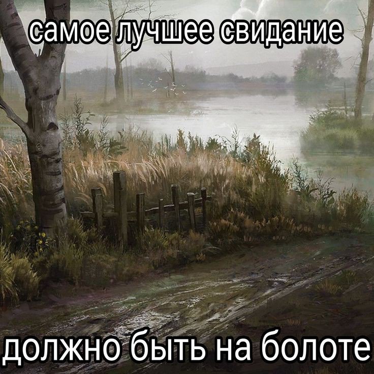 arina__sever's tweet photo. блоковская романтизация болот... это моей личности оплот... https://t.co/BUQndbvOhN