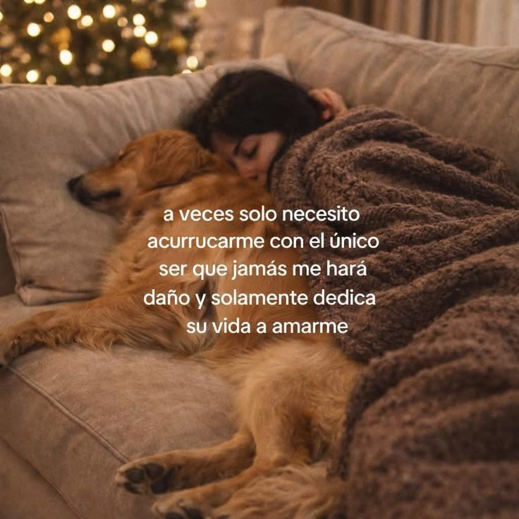 FraseSimple's tweet photo. https://t.co/yU8J1jKTDh