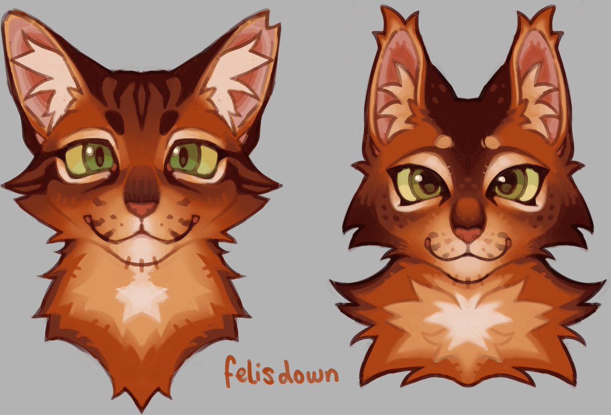 felisdown's tweet photo. firestar + squirrelflight https://t.co/wJwFR8wgCW