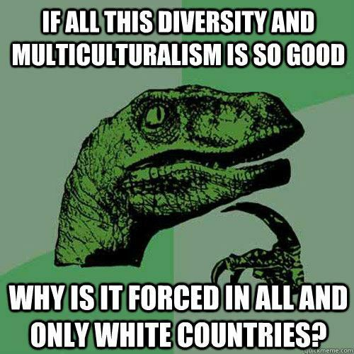 WhiteIsRight507's tweet photo. @EBlade3529 @northernlass_26 @England @RyanM_18_ Don't want to get replaced? STONE AGE OLD MAN!! It's totally fine Whites go extinct via mass migration, making another race go extinct by migrating is fine if they're White! And having the government hurting, hindering and killing it's own citizens to accommodate the invaders! https://t.co/fSGR93pJKk