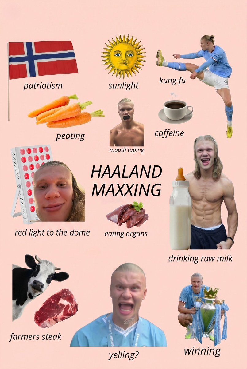 Maxxing tweet media