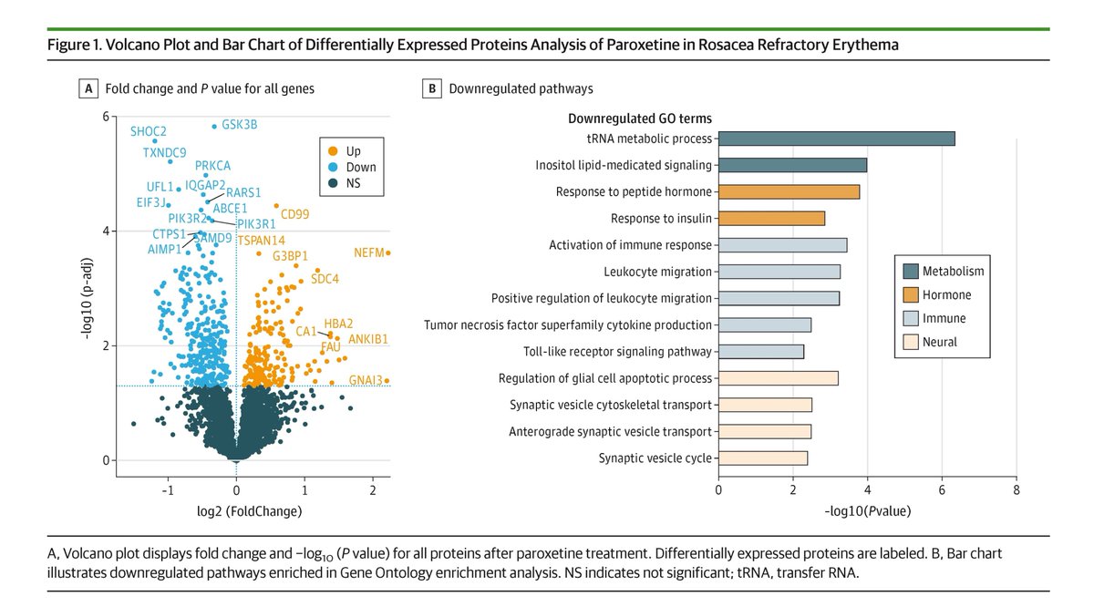 JAMADerm's tweet photo. In refractory #rosacea, paroxetine therapy was associated with systemic proteomic changes in neuro-vascular-immune pathways and identified circulating protein #biomarkers linked to #clinical improvement.
https://t.co/wBF7dRvYiv https://t.co/zPZOu1xAzk