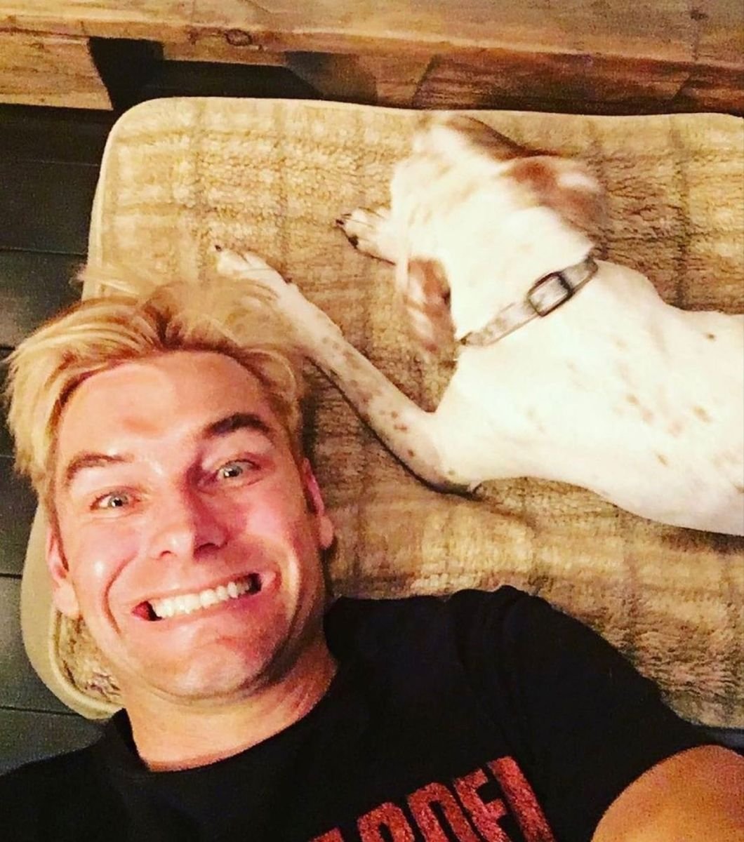 hmelanderseagle's tweet photo. i used to think there wasnt an antonym to the crazy cat lady stereotype and then i saw the dangerous dog man for the first time https://t.co/ZrRNtFxubp