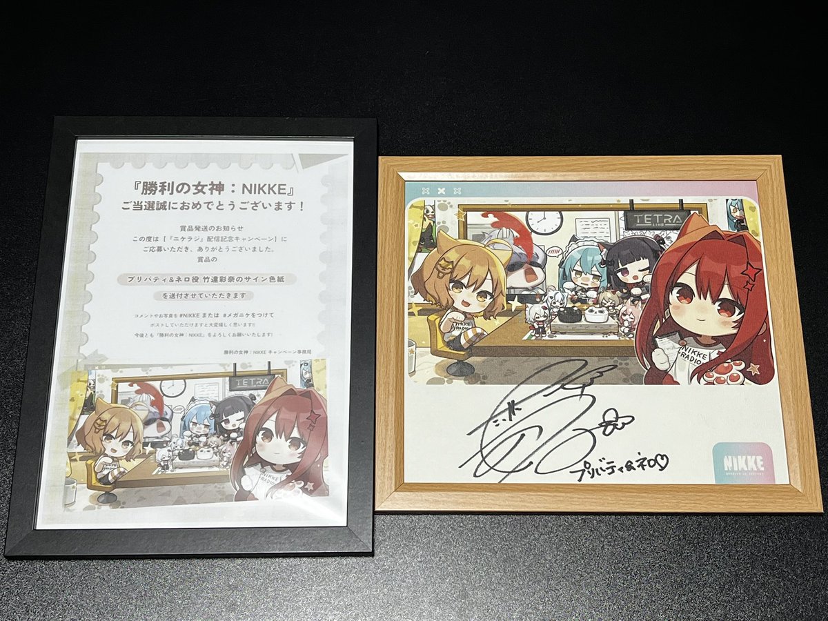 NIKKE指揮官にとって 超弩級SS聖遺物っっっ❗️❗️❗️ プリバティ