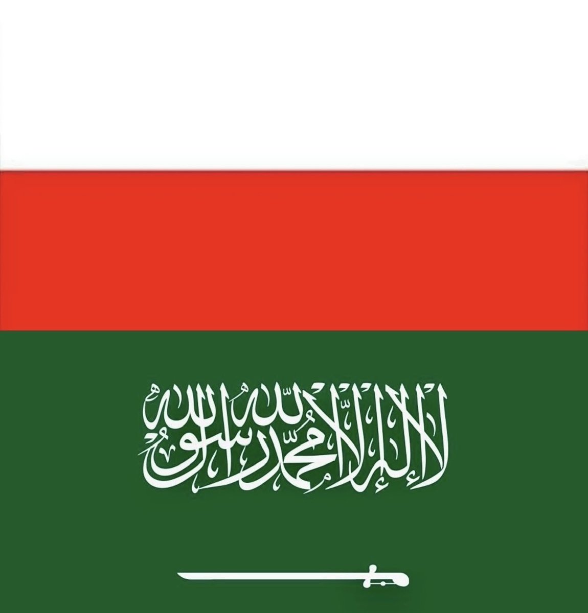 RobertRostek's tweet photo. يسرنا أن نرحب في وارسو 🇵🇱 بممثلينا الاجتماعيين في:

جدة، المملكة العربية السعودية، 🇸🇦 القنصل الفخري السيد حسن عمر العطار

وفي:
مسقط، سلطنة عمان، 🇴🇲 القنصل الفخري الشيخ أحمد الهنائي

مع جزيل الشكر 🙏 على جهودكم المتميزة في خدمة بولندا! https://t.co/stZ4MejmuZ