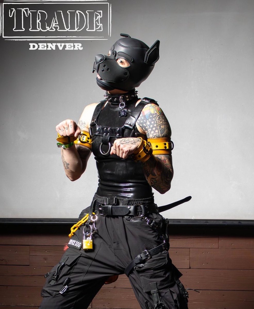 MezPulse's tweet photo. I won the Good Boi competition for TRADE! 
SO honored to be the first nb pup poster child for their awesome queer and kink events! 🥰 
In such a male dominated community, this is a really rad way to represent and hopefully encourage more puppy girls and theys to come out &amp; play! https://t.co/WMe6Jn7Tg3