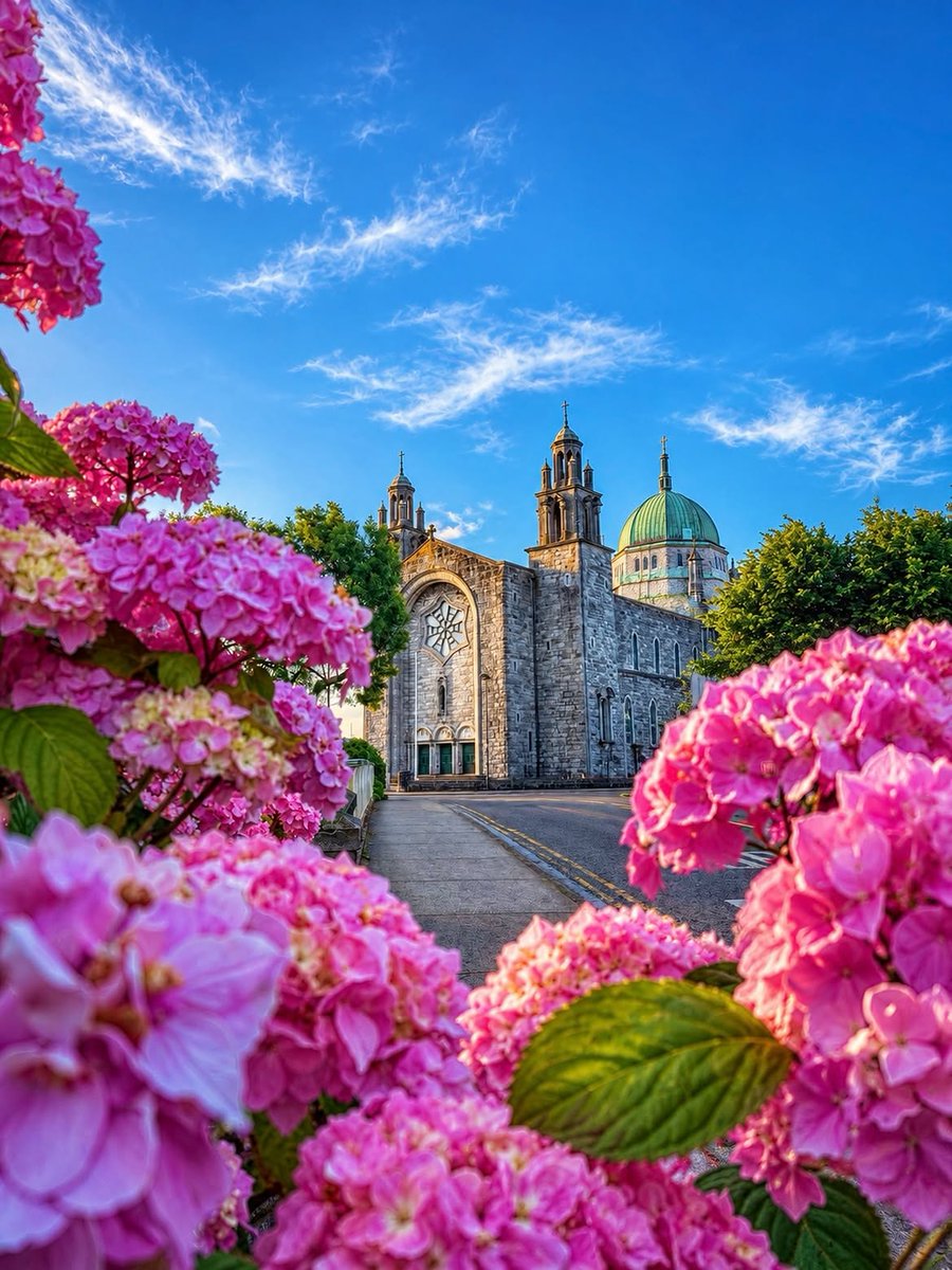 visit_galway's tweet photo. A beautiful summer scene of Galway Cathedral... ⛪ 🌸

📸 IG/ mykeld24
📍 Galway, Ireland https://t.co/uzsZmTdeaB