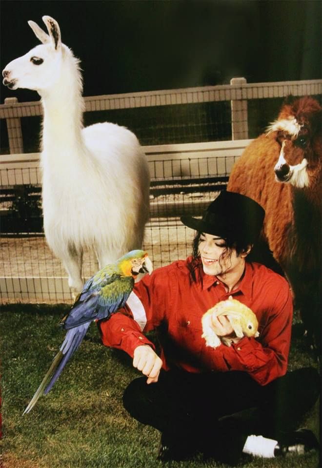ptolemaeq's tweet photo. i’m feeling so emotional today over the amount of people michael jackson is inspiring right now. he’s still bringing people together, touching people’s souls, and healing the world decades later. i’ll never get tired of hearing people talk ab the ways he’s impacted their lives. https://t.co/eiRrfLBbIk