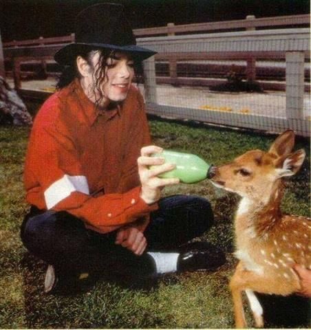 ptolemaeq's tweet photo. i’m feeling so emotional today over the amount of people michael jackson is inspiring right now. he’s still bringing people together, touching people’s souls, and healing the world decades later. i’ll never get tired of hearing people talk ab the ways he’s impacted their lives. https://t.co/eiRrfLBbIk