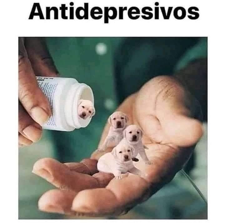 amanda_nuf's tweet photo. Necesito: https://t.co/yJuLsspZEf