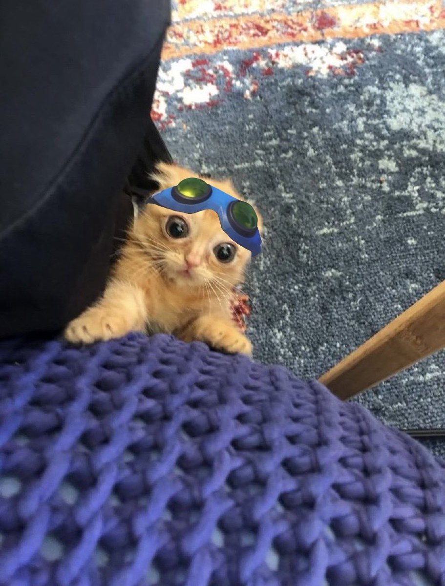 jetpackcatt's tweet photo. meowww………🐱 meow……🐱🐾 https://t.co/uuXANJCQLu