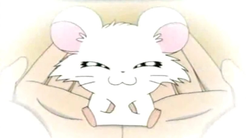 🎀リボン❤️ちゃん (@ribontixyan) / Posts / X