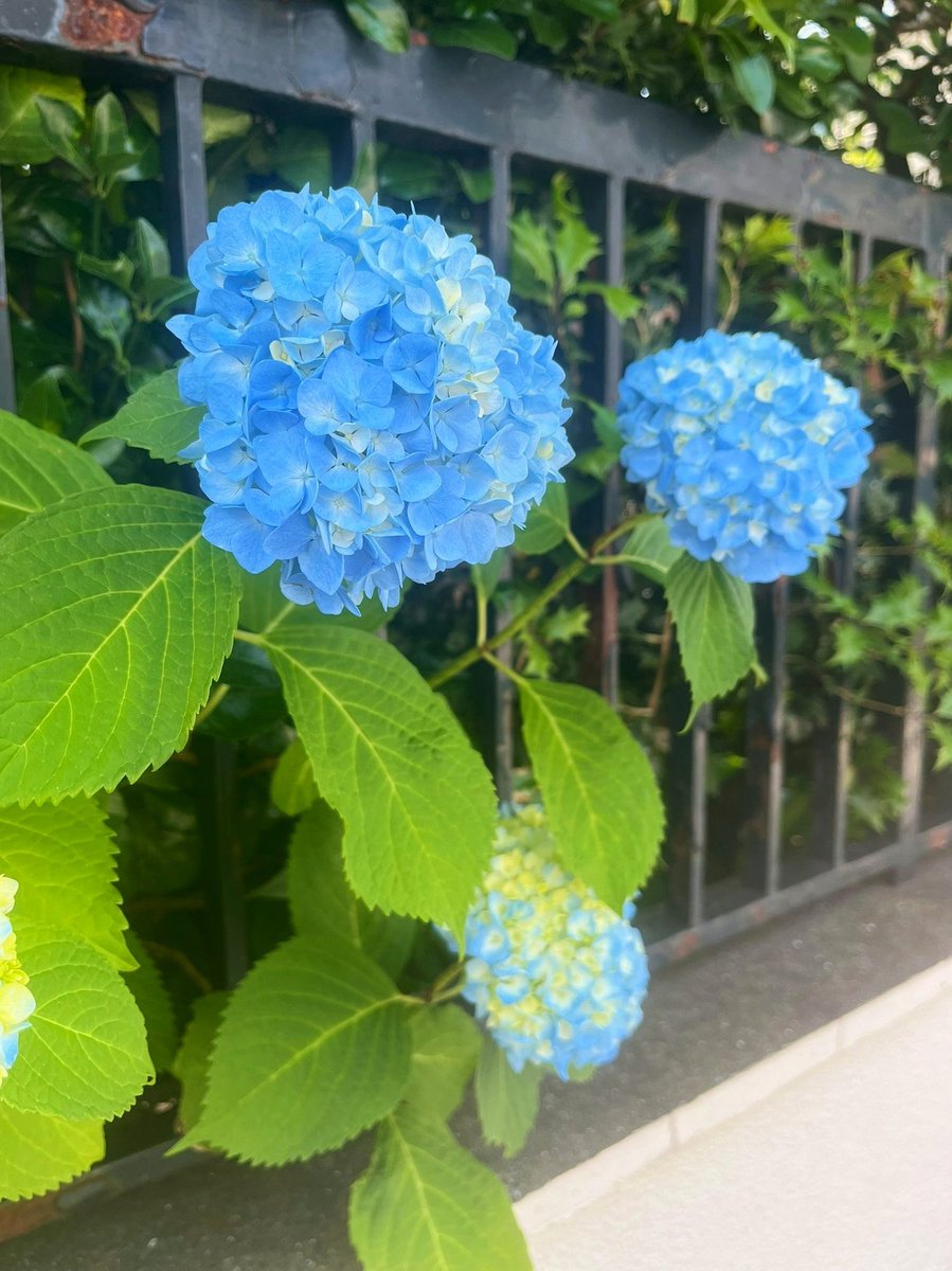 erencekin0's tweet photo. 神の光は 人の魂の裏側まで照らす。
神を信じる者は、魂の監獄から自由にされる。
主は、鎖を解き放ち、消せない孤独を愛で満たされる。
切り刻まれるような打たれた痛みと、
泣くことでも癒えない喪失の悲しみを癒し、
神は、人の乾いた魂に尽きない泉を湧き昇らせる。
暗闇を照らすまことの光 https://t.co/iZPm2UlunY