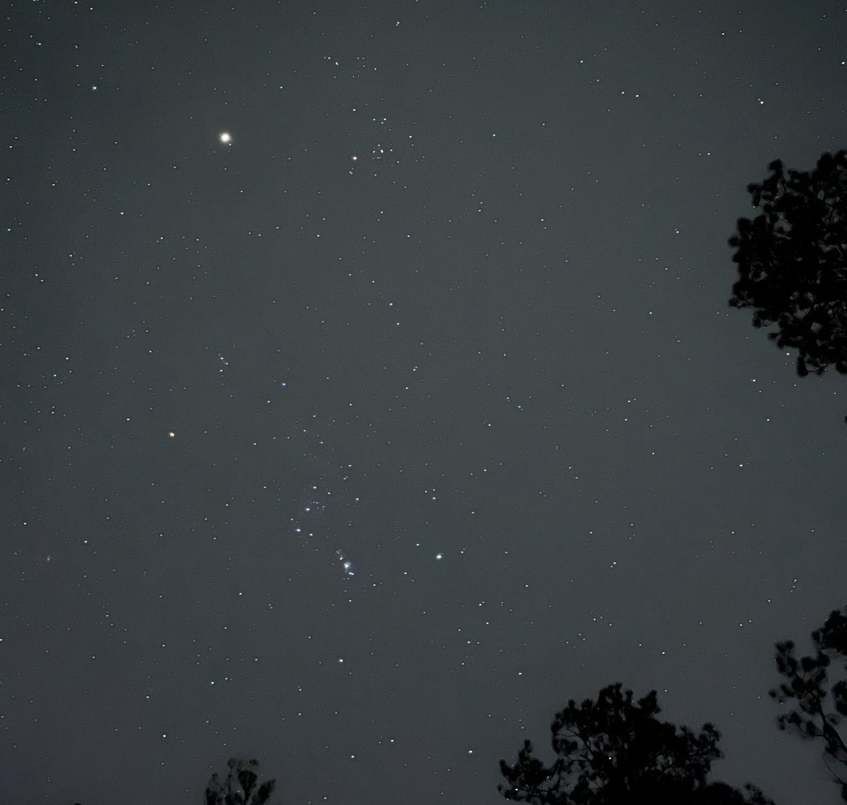 sage_astr's tweet photo. the amount of stars you see when you’re away from light pollution is insane https://t.co/PJ4M5epUjA