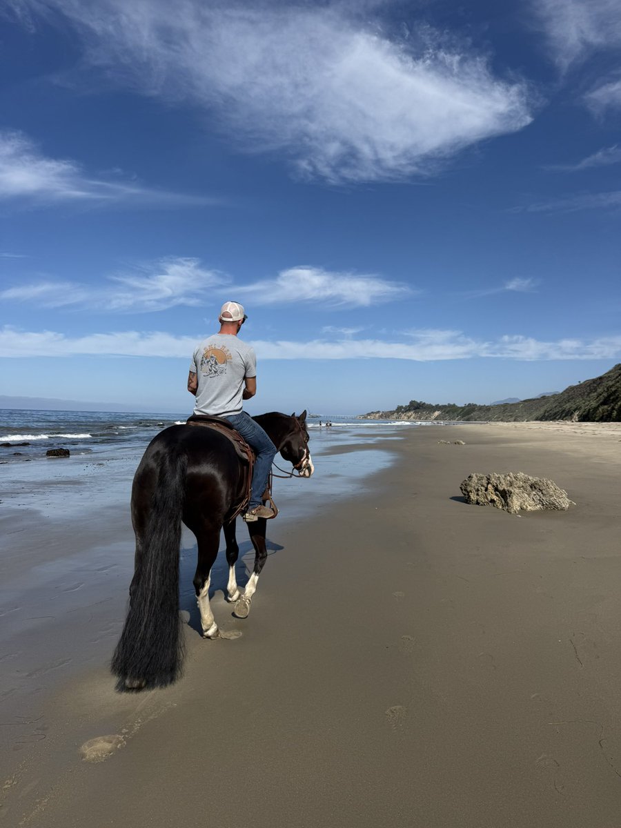 CowboyCoop243's tweet photo. Sunday 🐴🌊 https://t.co/1N8X1nKR0G