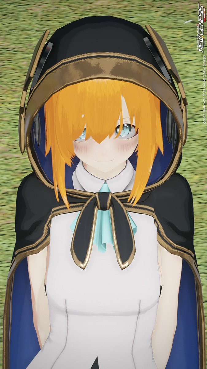 PSO2Raimu tweet picture