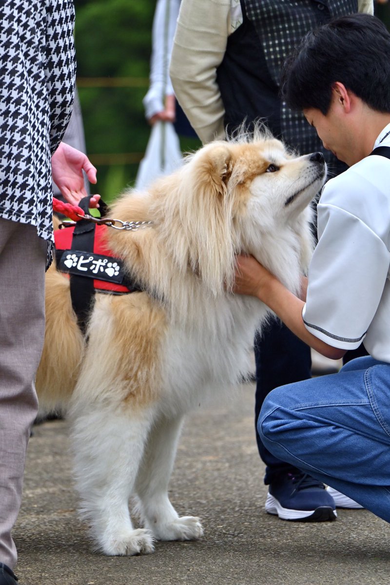 めぐ｜写真 (@TwinsMeg11) / Posts / X