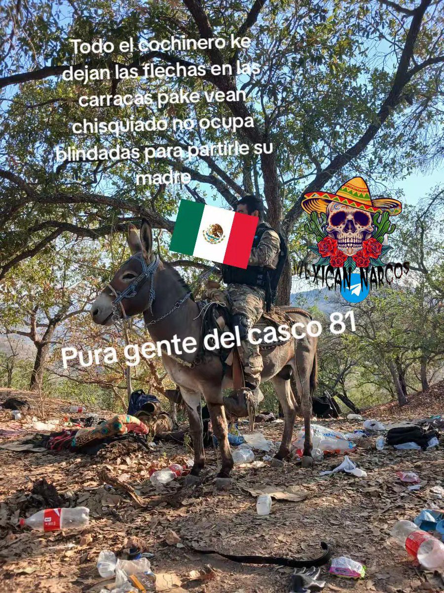 mexicannarcos's tweet photo. Sinaloa 🪖🍕 
Fuerzas Especiales 81 sicario from Los Chapitos operating in Concordia 🪖🍕. 
Hashtags: #Sinaloa #Concordia #CDS #LosChapitos #cartels #monstruos #Mexico https://t.co/bXOQwRHs0S