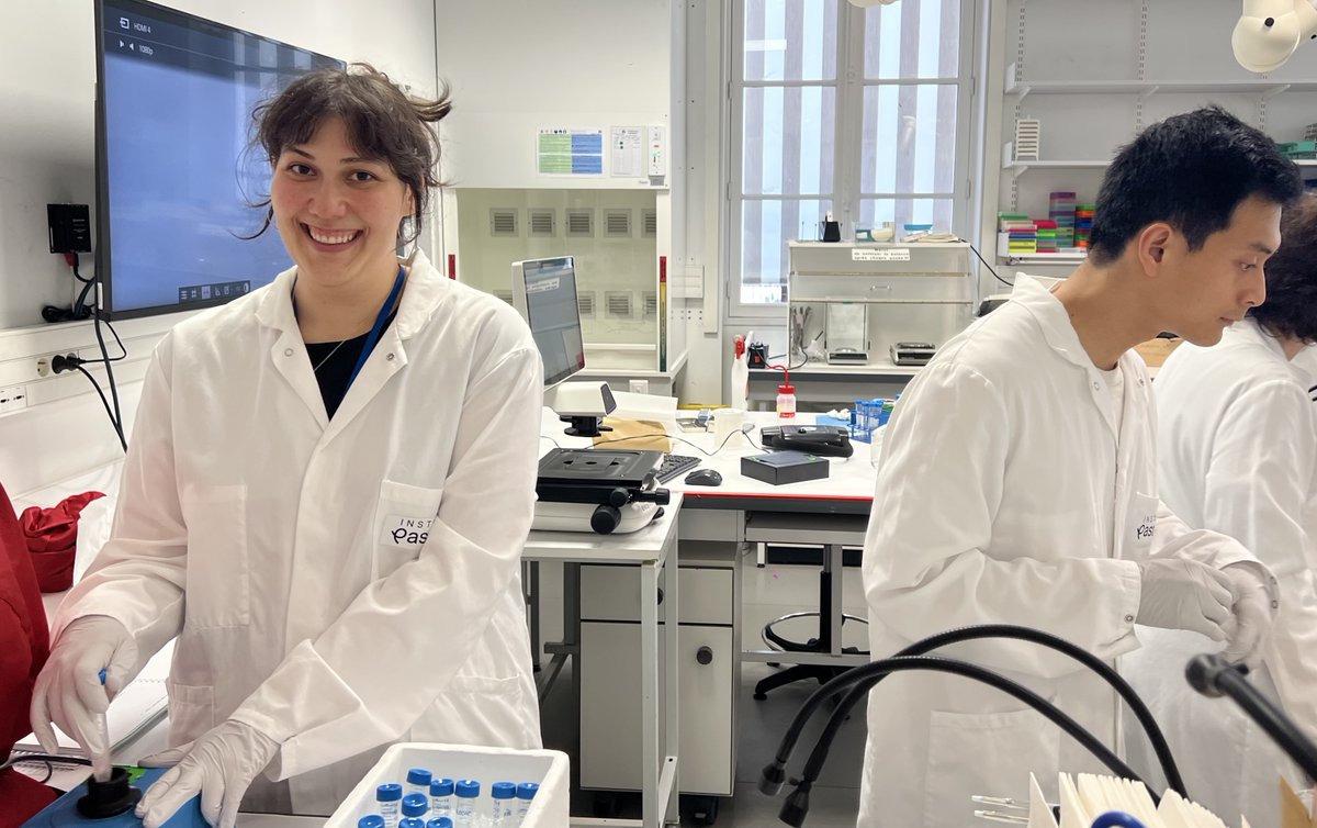 LabTajbakhsh's tweet photo. 2nd week #ASCB course! Evolution of regeneration, Eve Gazave, Platynereis regeneration wonderfully demonstrated, with help Zoé Velasquillo, Rémi Strehl. Francina Langa Vives and expert CIGM team: everyone tried pronuclear injections+ES into blastocysts - steady hands of creation. https://t.co/r7mvy6magh