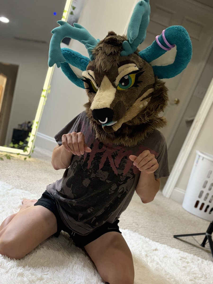 amoofie's tweet photo. silly animals suit swapping 🩵🌟

🐺- @NyxTheFluff https://t.co/Q96WZ0HUXF