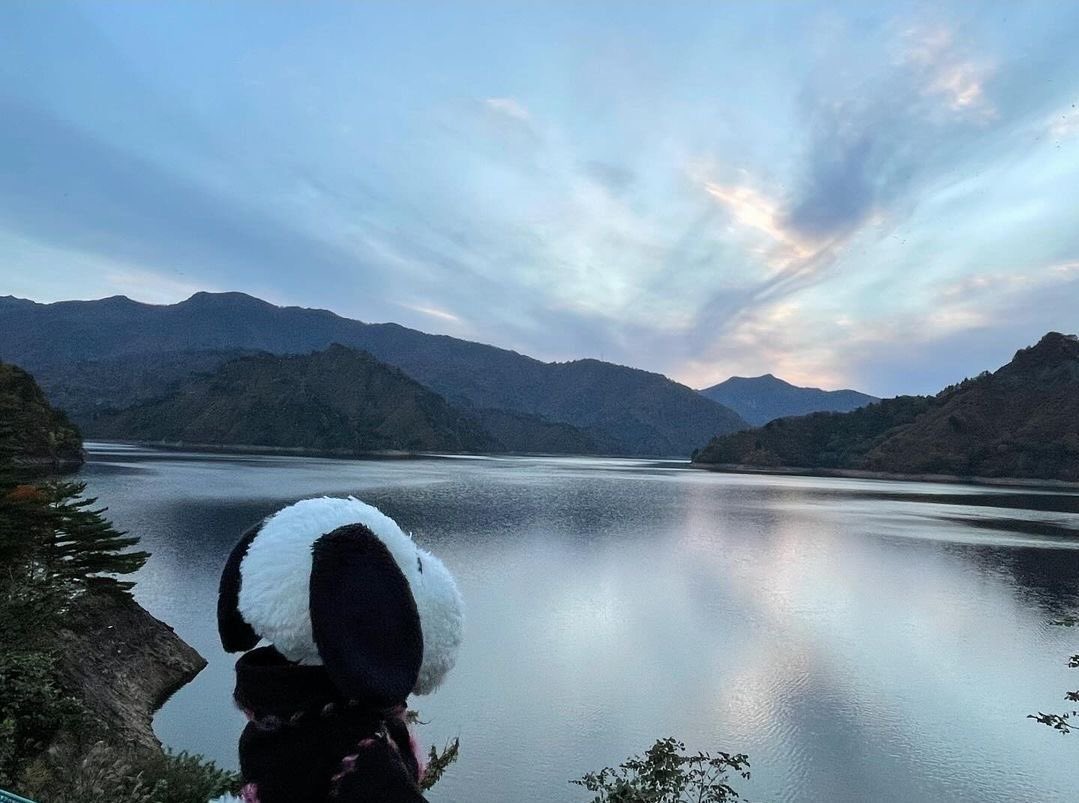 DailySnoopys's tweet photo. https://t.co/FQoyjy1IVA