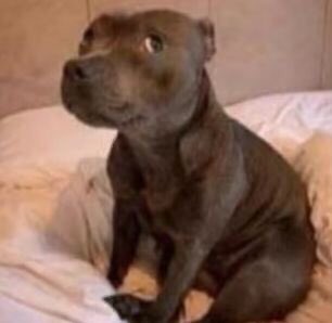 sadly_ineffable's tweet photo. How I look waiting for someone to pass me the pen https://t.co/rQmVFeRxYb