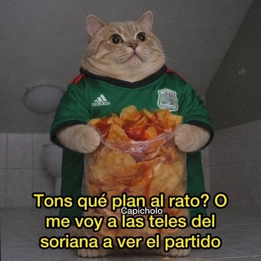 Wo0o0lf2's tweet photo. Tons que?? https://t.co/1PZurOkTPf