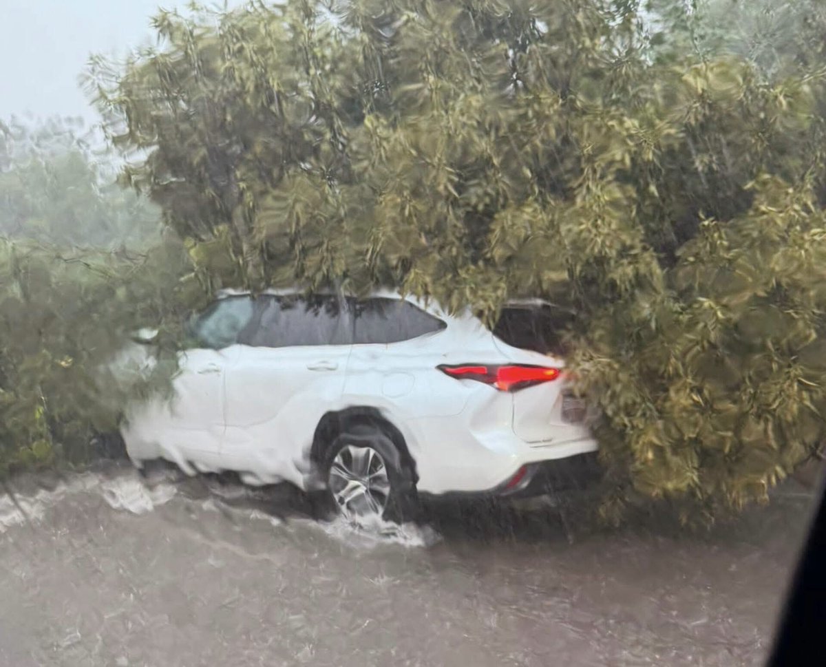 arteaga_franco's tweet photo. #Puebla
#ULTIMAHORA
Una persona está atrapada luego que un #árbol cayera sobre su #vehículo en el puente ubicado a un costado de Walmart en la zona del Triángulo de las #Ánimas
Urge atención @PCPueblaCapital @911Puebla https://t.co/1eJqtXIw4l