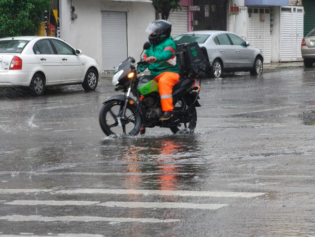 Milenio_Puebla's tweet photo. ⛈️ ¡No olvides tu paraguas! Fuerte lluvia en la ciudad de #Puebla

📸 @Isahmar_Torres
📲 https://t.co/ppPLOUsRa0 https://t.co/w7UWo9omQa