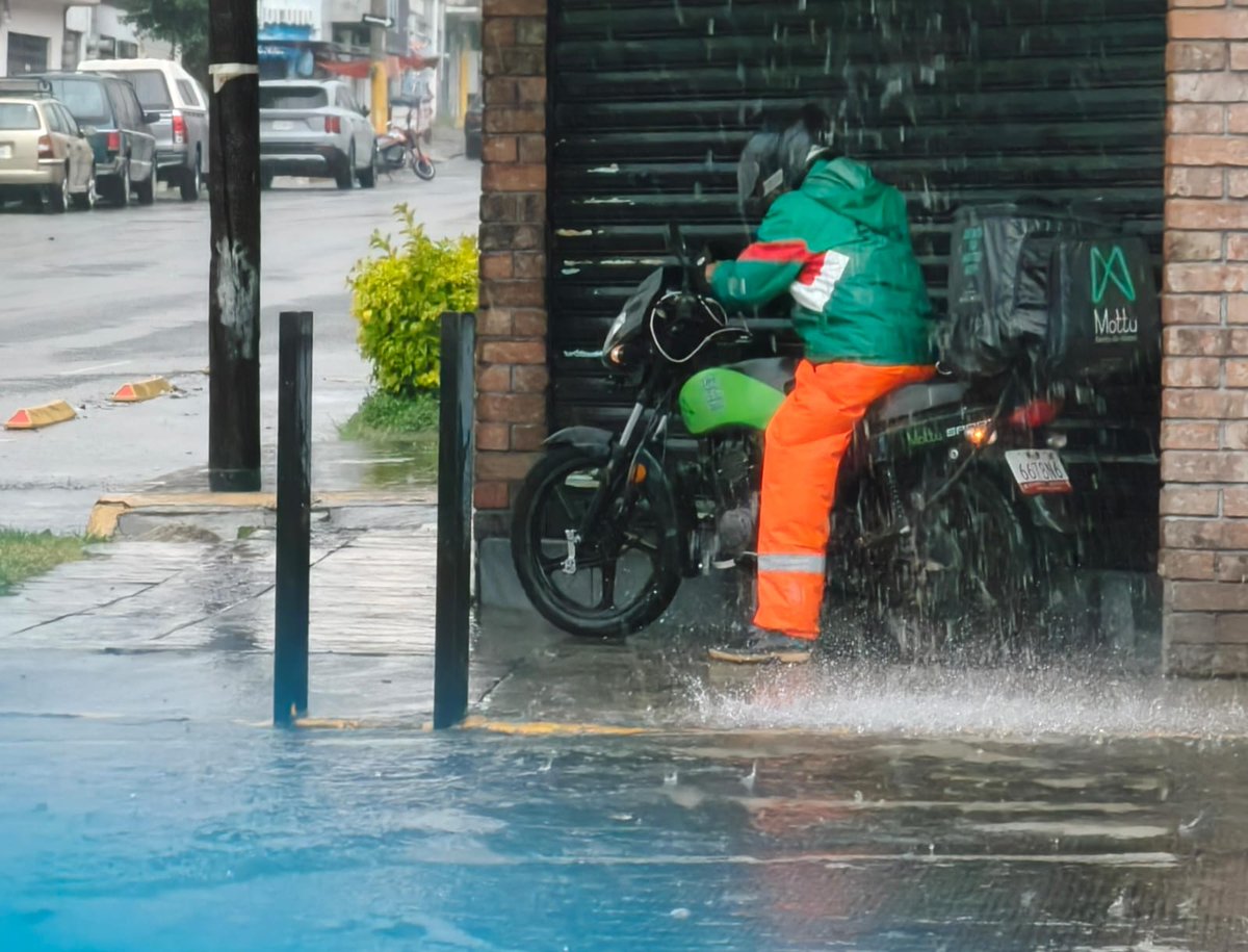Milenio_Puebla's tweet photo. ⛈️ ¡No olvides tu paraguas! Fuerte lluvia en la ciudad de #Puebla

📸 @Isahmar_Torres
📲 https://t.co/ppPLOUsRa0 https://t.co/w7UWo9omQa