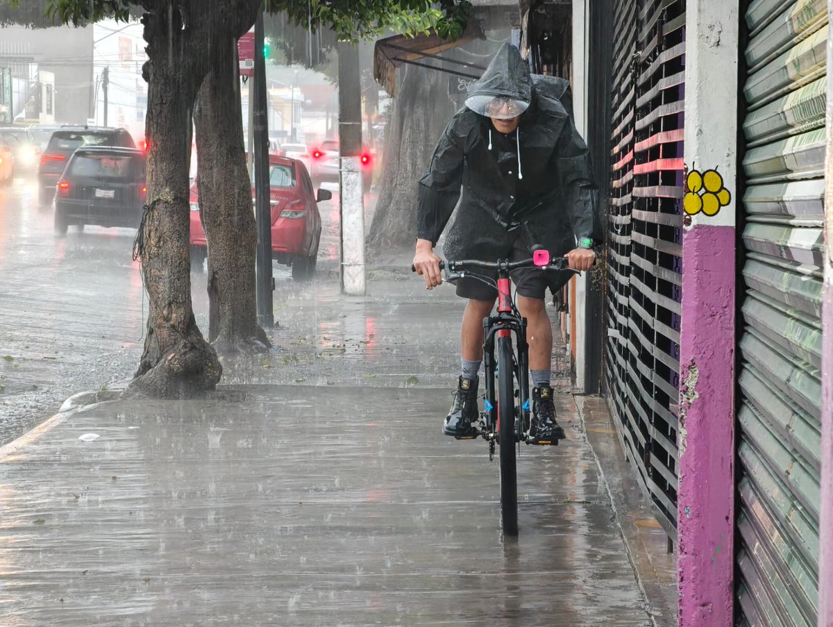 Milenio_Puebla's tweet photo. ⛈️ ¡No olvides tu paraguas! Fuerte lluvia en la ciudad de #Puebla

📸 @Isahmar_Torres
📲 https://t.co/ppPLOUsRa0 https://t.co/dlzhshYuuC