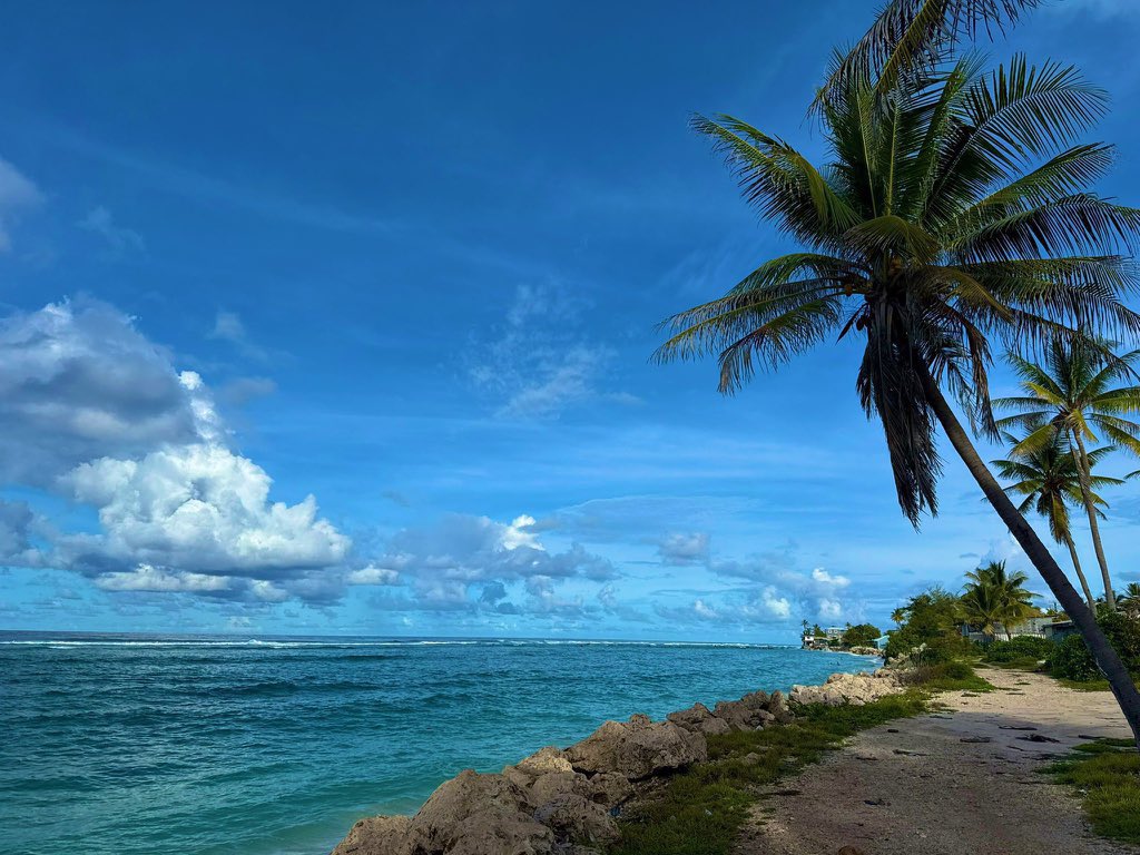 nauru_japan's tweet photo. おはようございます。ナウル島の美しい景色で皆様が少しでも癒され幸福があることを祈ります。家庭や仕事の問題、自分の悩みなどで辛いことがあっても共に生き抜きましょう🙏
  ＿＿
｜幸｜
｜福｜
  ￣￣ https://t.co/VL6OiZGbCj