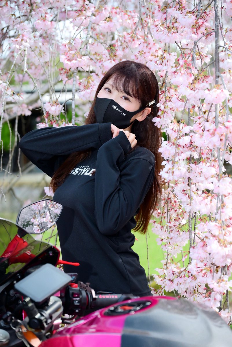 𝐒ちゃん🌸猫Photo Rider (@Kuroneko_S_chan) / Posts / X