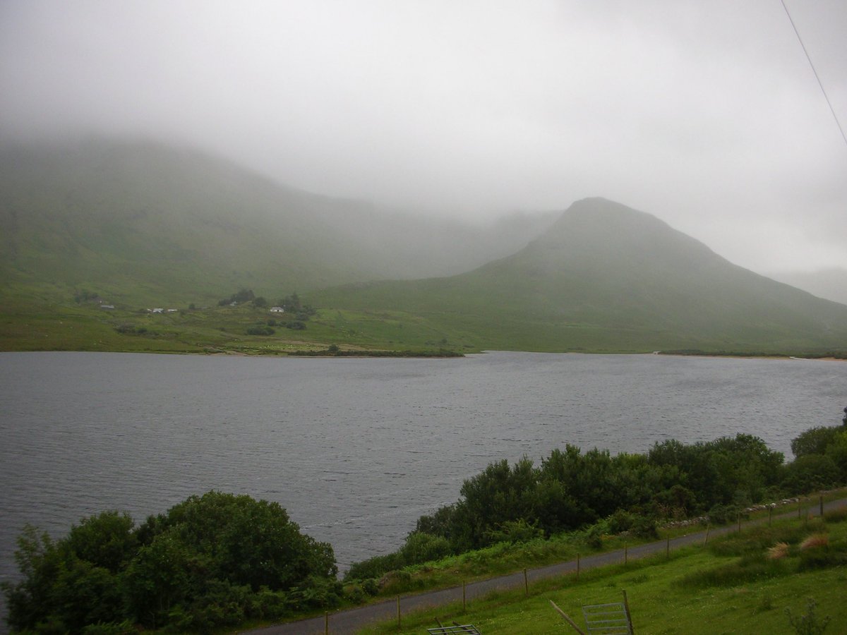 realslouchback's tweet photo. Herding sheep on Loach Nafooey https://t.co/uAyykFS46C