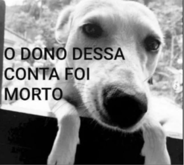 balotaromantico's tweet photo. o sonho do hexa acabou https://t.co/NuCmPlRnxB
