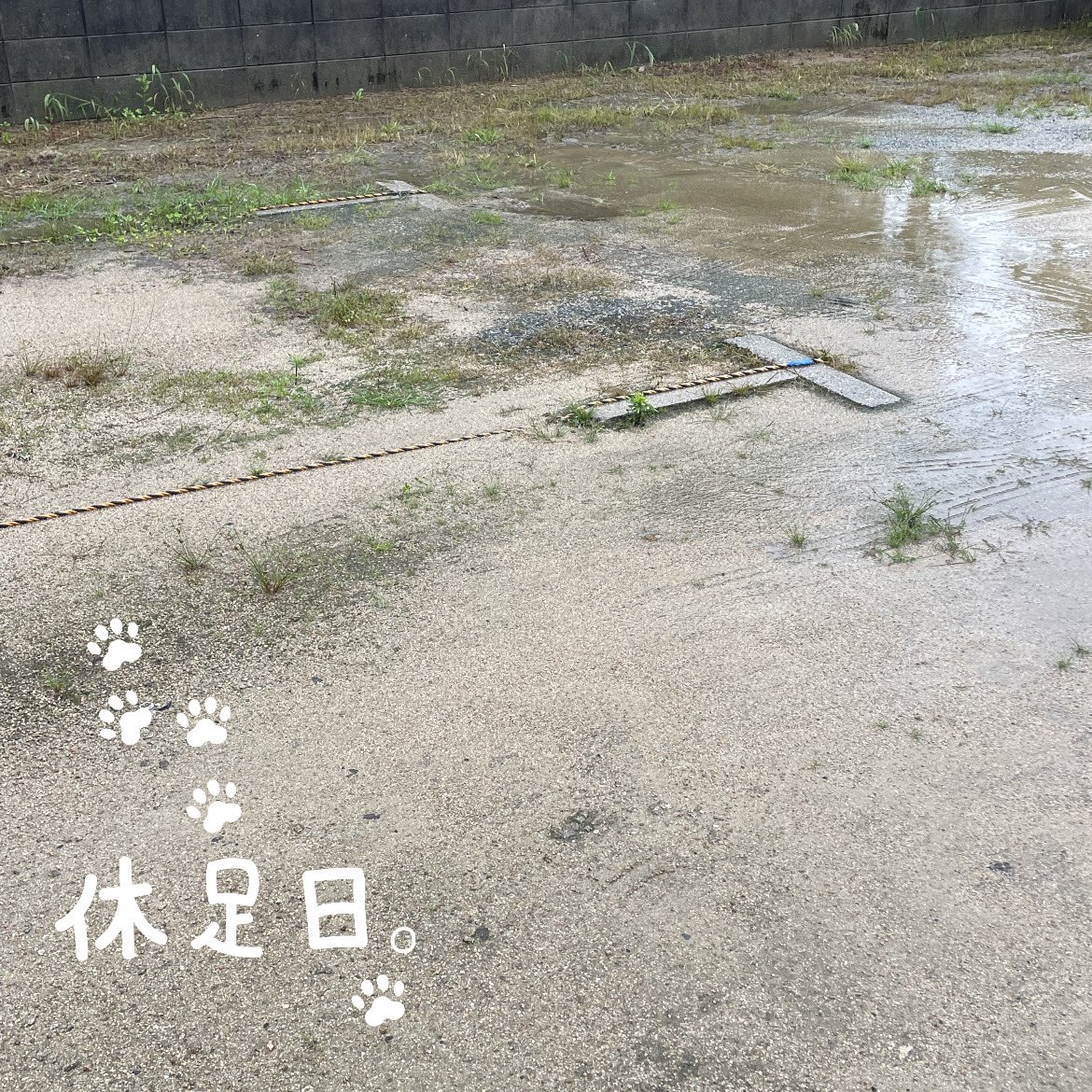 beerrunner31's tweet photo. 休足日。 https://t.co/e7FQ6V8eFa