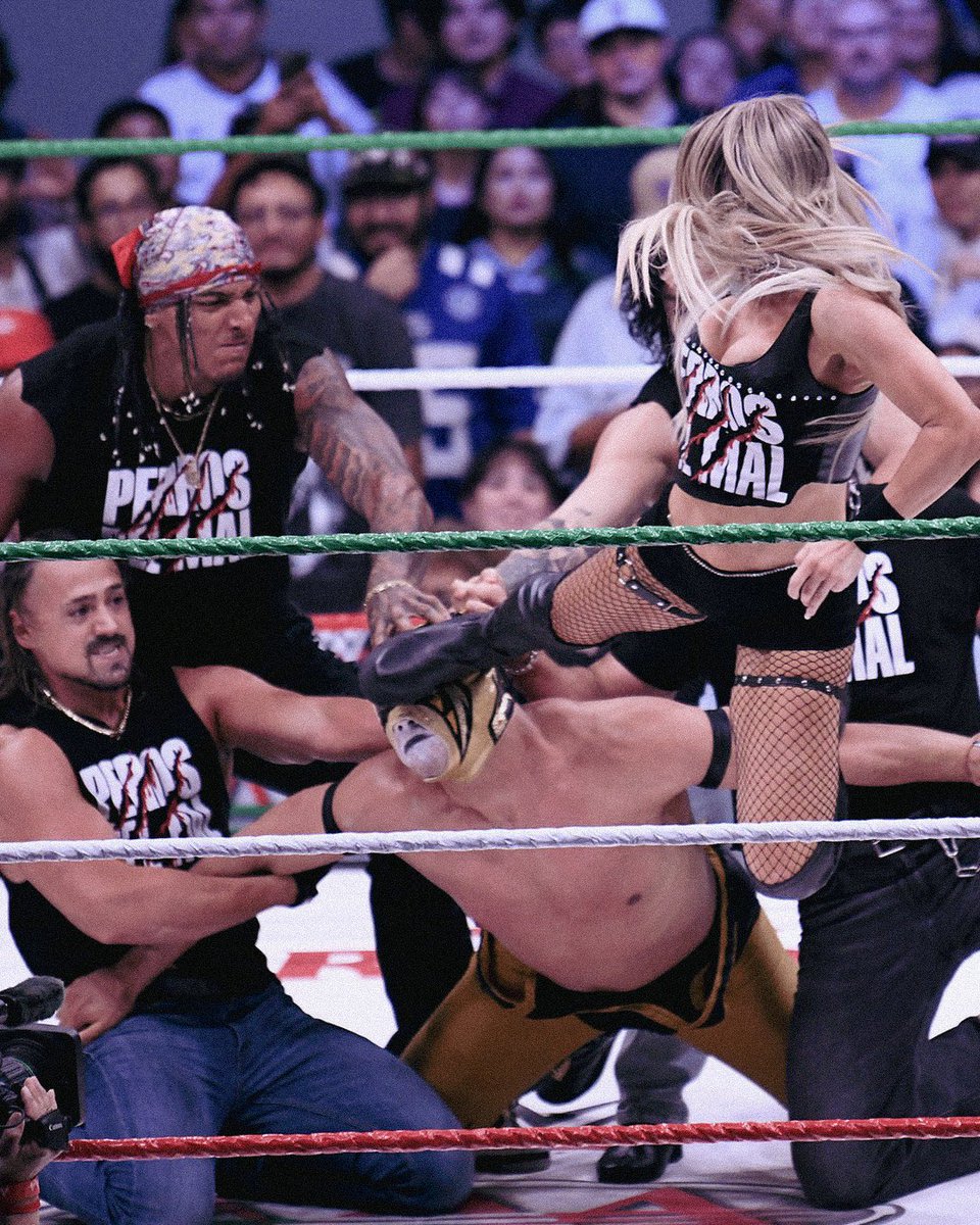maddiemania_'s tweet photo. kAAArmen 🐾❤️‍🔥⛓️‍💥 https://t.co/imLRwD5aKF