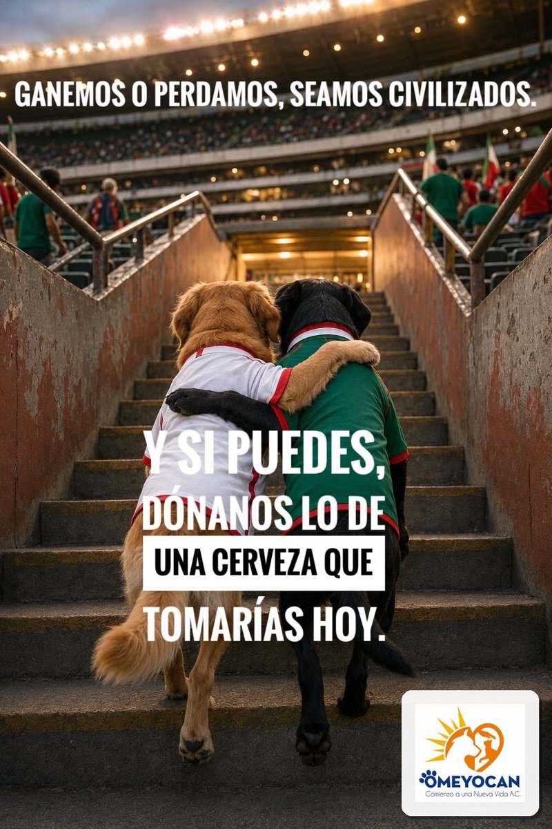 OMEYOCANAC's tweet photo. Ya se acerca la hora! 😱
Y aún no tenemos la cuota completa para su comidita.
¿Nos echas una patita?
También MUY IMPORTANTE: seamos civilizados pase lo que pase en la cancha 🙏🏼

#vivaméxico #sisepuede #ayuda #perros https://t.co/AJ2C3yQcIb