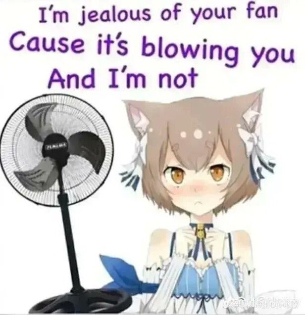 FemboyLoveerr's tweet photo. https://t.co/HA7Gl8oPup