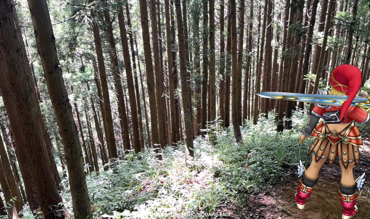 kulanaha's tweet photo. おはよう、冒険者諸君。また新たな週の始まりだ。この週末は低山を歩いたが、すっかりこの習慣が定着した。山を歩くことで体にも心にも良い。自然から得た活力で一日を生き延びていきたい。本日もよろしく頼む。 https://t.co/U4RPBvxixV