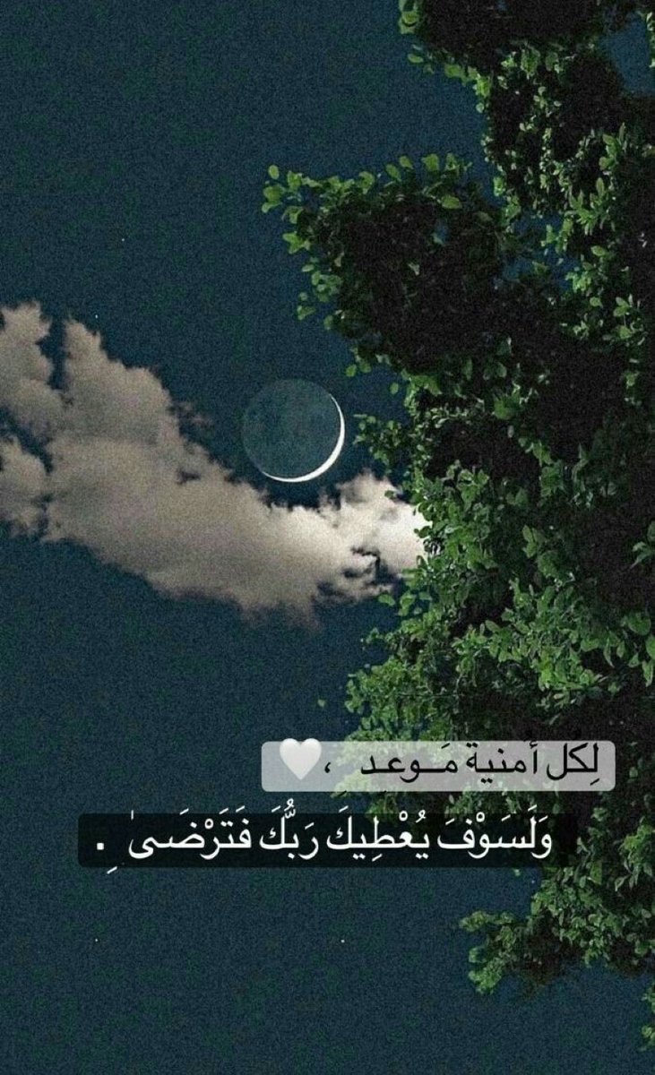 0xxxml tweet picture