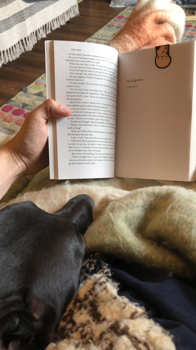 booktom28's tweet photo. I’m new to #booktwt and need to make some moots! 

- 28, mainly into sci-fi, classics and postmodern literature, but can be open minded to more 
- my dog reads almost as much as I do 
- here’s just a few books I’ve loved over the last couple of years https://t.co/27EUxI762v