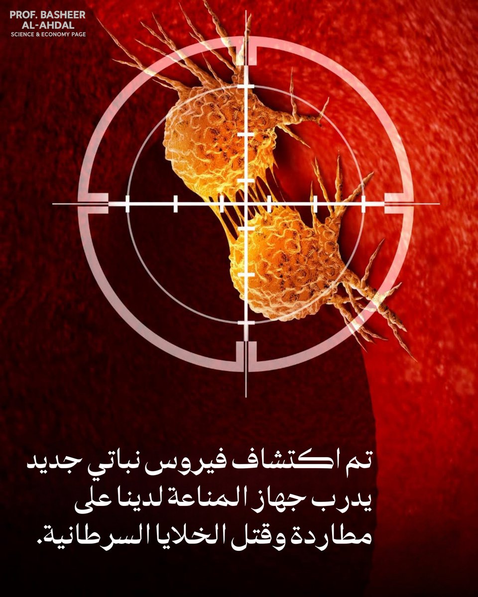 prof_basheer1's tweet photo. فيروس نباتي يُظهر إمكانات واعدة لتعزيز العلاج المناعي للسرطان.

أظهرت أبحاث حديثة أن فيروس فسيفساء اللوبيا (Cowpea Mosaic Virus - CPMV)، وهو فيروس نباتي يصيب نبات اللوبيا (البازلاء ذات العين السوداء)، قد يشكل منصة واعدة لتطوير استراتيجيات جديدة في العلاج المناعي للسرطان.

ويتميز هذا الفيروس بأنه غير قادر على إصابة الخلايا البشرية أو التكاثر داخلها، إلا أن استخدامه على هيئة جسيمات نانوية وحقنه مباشرة داخل الورم في الدراسات قبل السريرية أدى إلى تحفيز استجابة مناعية قوية. فقد ساعد على استقطاب خلايا مناعية فطرية، مثل العدلات والبلاعم والخلايا القاتلة الطبيعية، كما عزز تنشيط الخلايا البائية والخلايا التائية، وهو ما أسهم في تكوين ذاكرة مناعية مضادة للأورام يمكن أن تدعم الاستجابة طويلة الأمد.

كما بينت دراسة مقارنة بين فيروس فسيفساء اللوبيا وفيروس نباتي مشابه أن التأثير العلاجي لا يرتبط بوجود الفيروس النباتي وحده، بل بقدرته على تنشيط مسارات مناعية محددة. فقد أظهر فيروس فسيفساء اللوبيا قدرة أكبر على تحفيز إنتاج الإنترفيرونات وتنشيط مستقبلات التعرف على الأحماض النووية الفيروسية، وهي آليات أساسية في تنبيه الجهاز المناعي وتعزيز قدرته على التعرف إلى الخلايا السرطانية واستهدافها.

ورغم أن هذه النتائج ما تزال محصورة في مرحلة الدراسات قبل السريرية، فإنها تدعم إمكانية تطوير علاجات مناعية منخفضة التكلفة تعتمد على فيروسات نباتية آمنة، الأمر الذي قد يفتح آفاقًا جديدة في مكافحة السرطان مستقبلًا، شريطة إثبات فعاليتها وسلامتها في التجارب السريرية على البشر.

المصدر: دراسة منشورة في مجلة Biomaterials (2025)، بعنوان: Comparative analyses for plant virus-based cancer immunotherapy drug development، لـ Omole وآخرين.
#العلاج_المناعي #السرطان #البحث_العلمي #العلوم