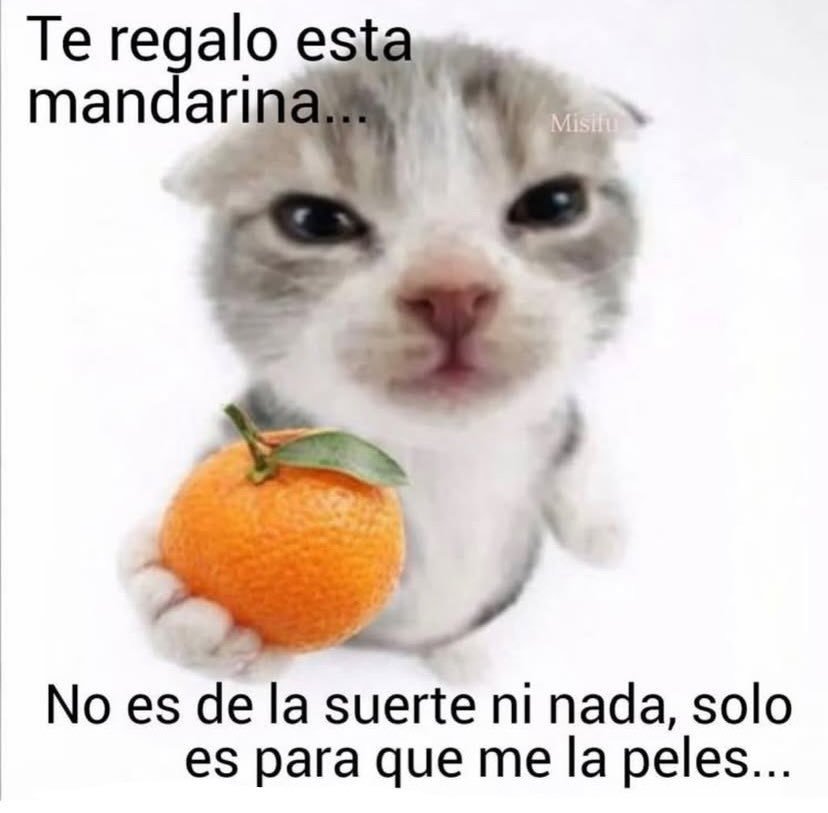 ECSS_partido's tweet photo. @Enriquecalpyl2 Como quieres q responda si no has preguntado nada, oyee podre argumentar pero tampoco soy psíquico para saber q piensas ahora https://t.co/Oi6IpVOjzS