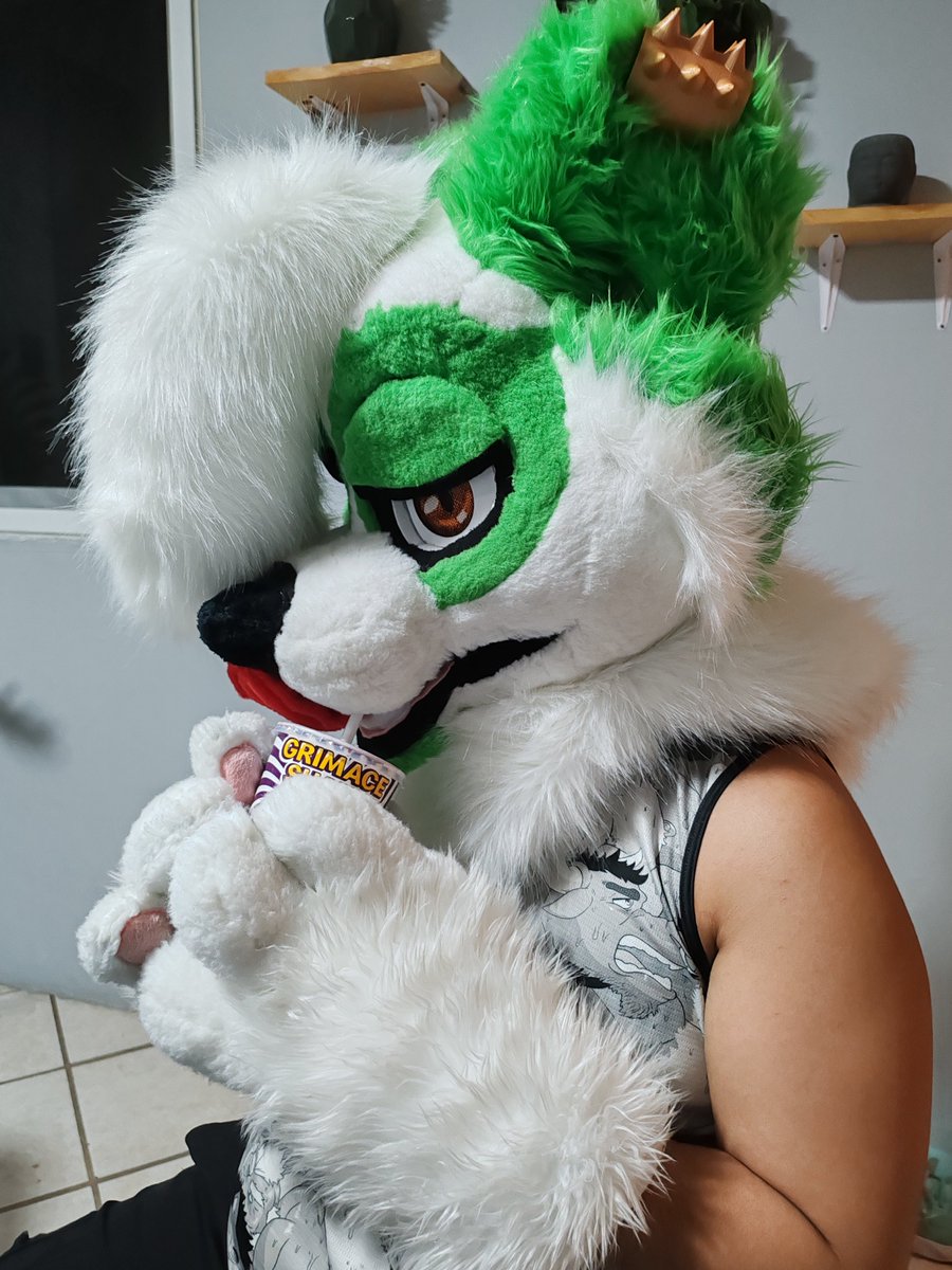 CCCartncraft's tweet photo. And the tanuki panda made his debut on last year's confuror his name is @PagrowBamboo
He be sipping his grimace shak- oh and he's down :0

Check out his art btw it's real good https://t.co/ID710VF0Y5