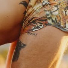 hsloove's tweet photo. gente isso é tudo culpa do capeta do harry styles que resolveu tatuar BRASIL! na coxa em 2014 (7x1) desde lá estamos amaldiçoados https://t.co/lp5YlnoRJ9