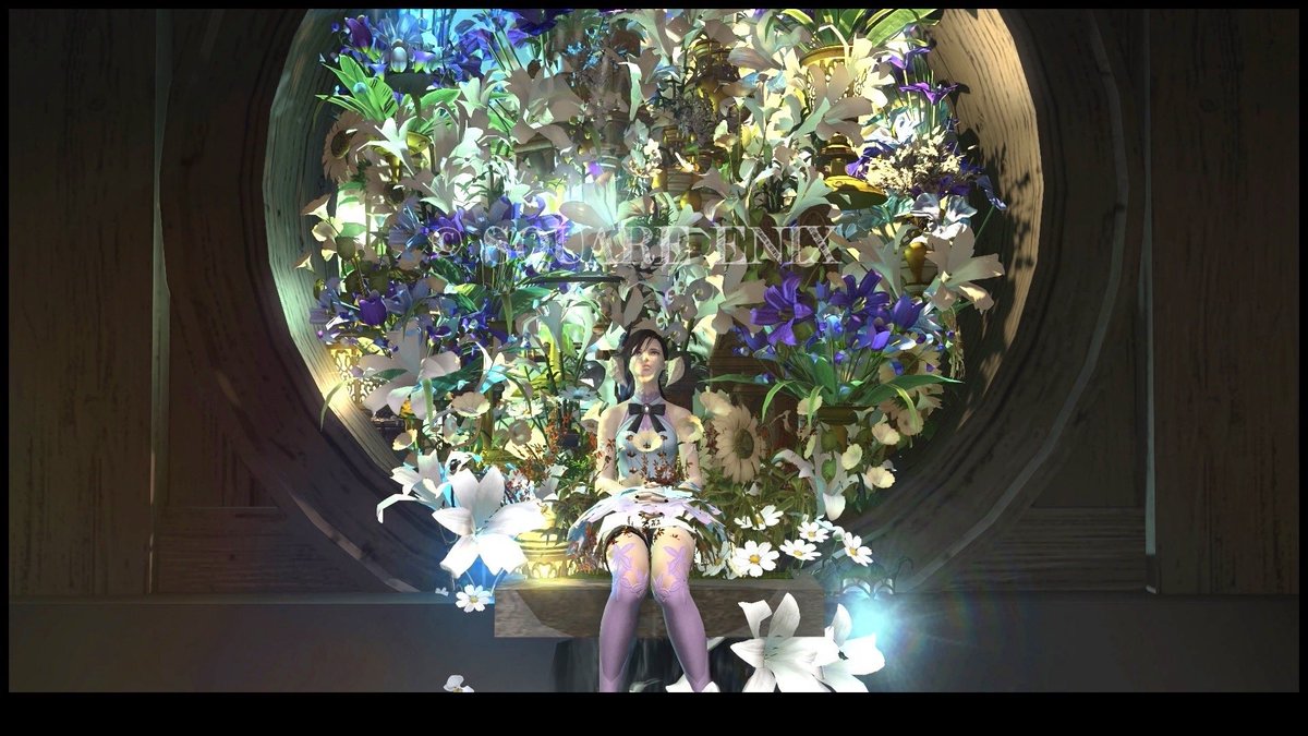 utatane0502's tweet photo. おはようございます☀️
スタジオ(#st_Aluce)さんにお邪魔してきました！お花の配置が凄く綺麗でSS撮るのがとても楽しかったです🥰残りのSSも後日に🤭
本日も皆様、ご無理なくお過ごしくださいませ✨
#st_Aluce #FF14 #FF14SS #おはウラ #メスラ #本日のアウラ #蟹角ファン倶楽部 https://t.co/wMVRIXCEcs